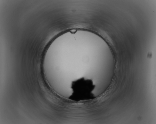 X0000093500108200710121051