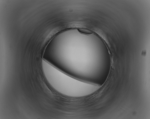 X0000093500109200710121051