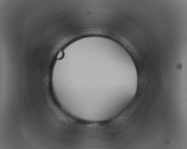 X0000093500112200710121051