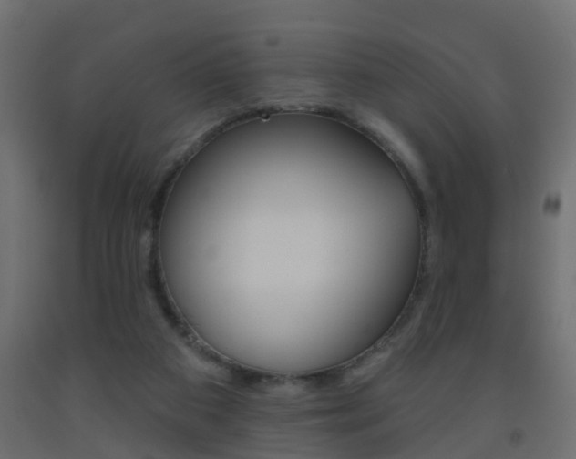 X0000093500113200710121051