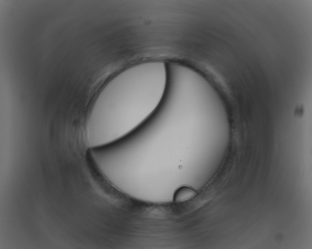 X0000093500115200710121051