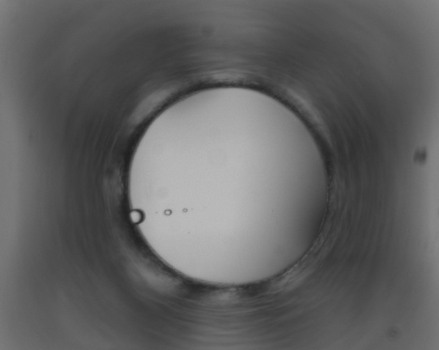 X0000093500116200710121051