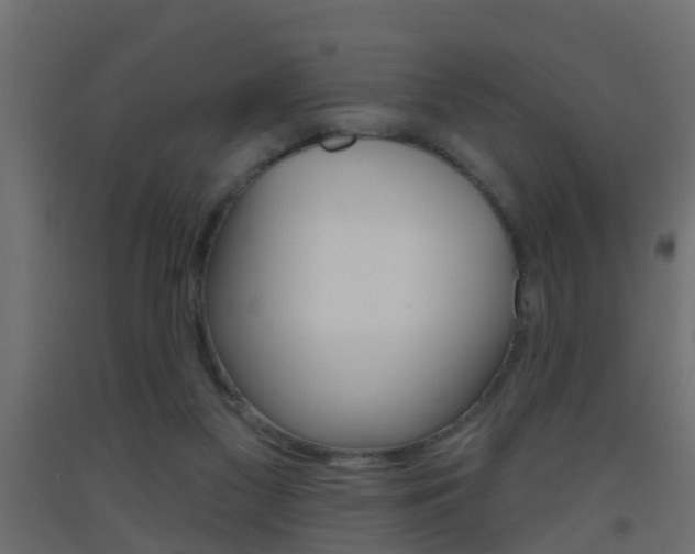 X0000093500117200710121051
