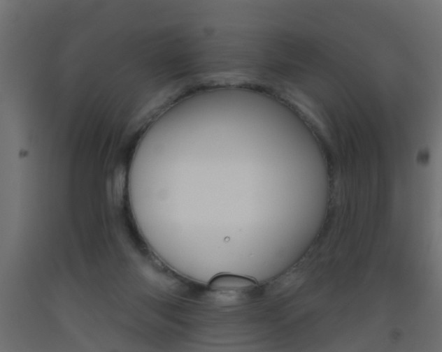 X0000093500118200710121051