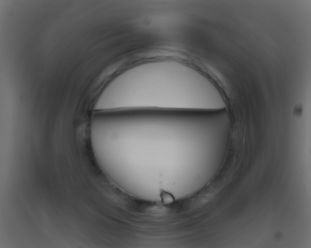 X0000093500119200710121051