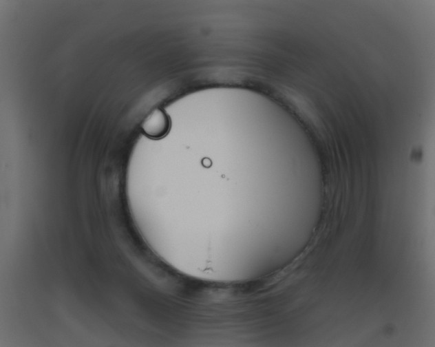 X0000093500120200710121051