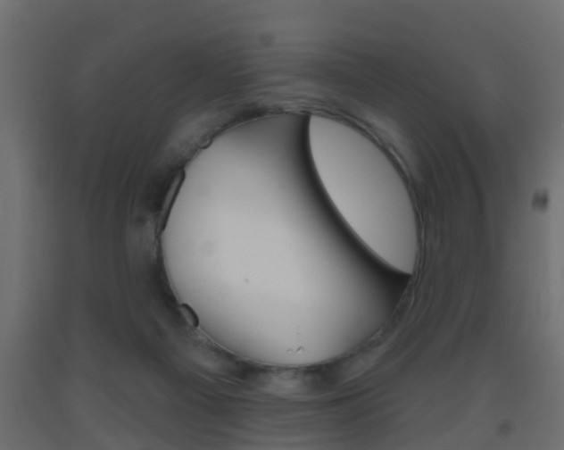 X0000093500121200710121051