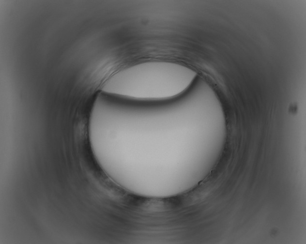 X0000093500123200710121051