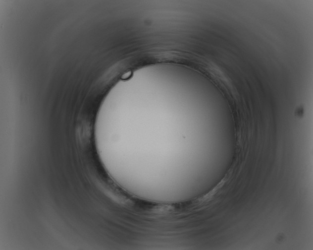 X0000093500124200710121051