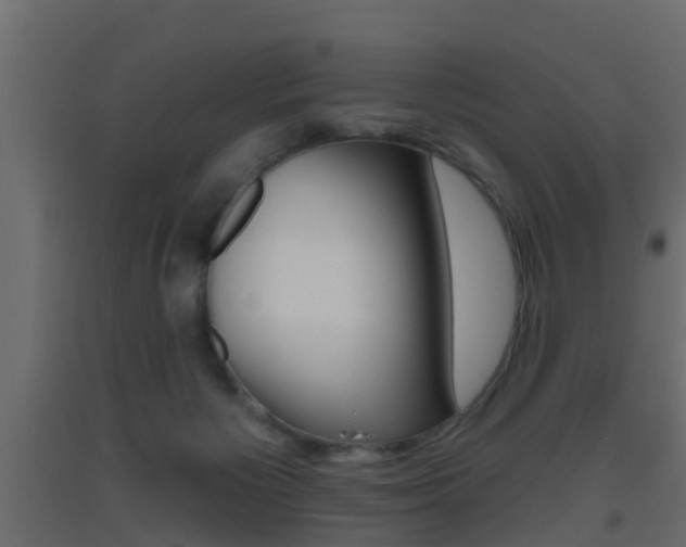 X0000093500125200710121051
