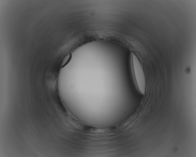 X0000093500129200710121051