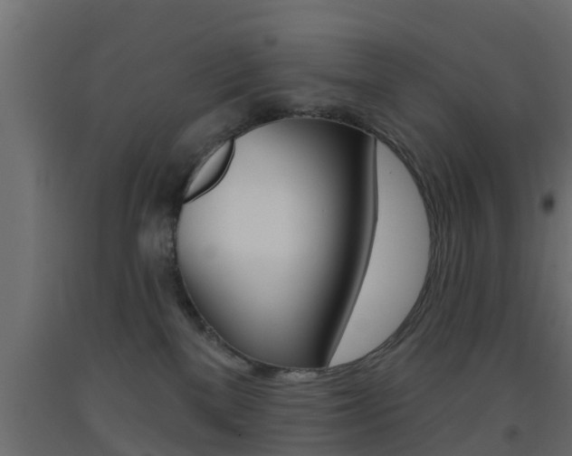 X0000093500137200710121051