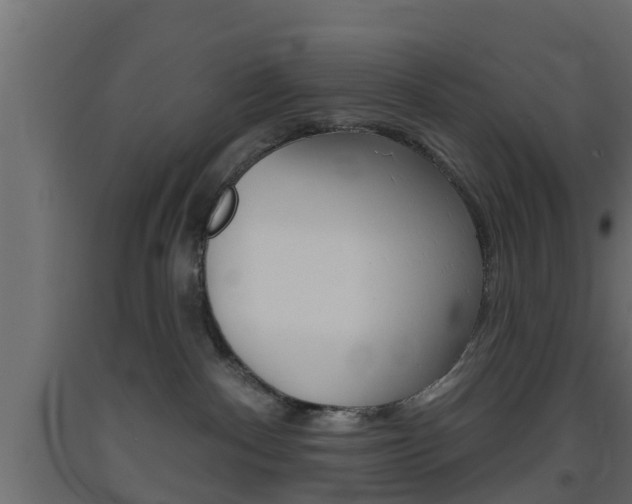 X0000093500140200710121051