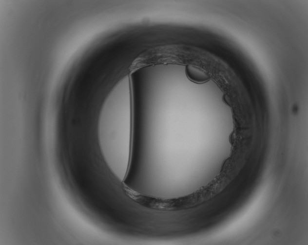 X0000093500143200710121051