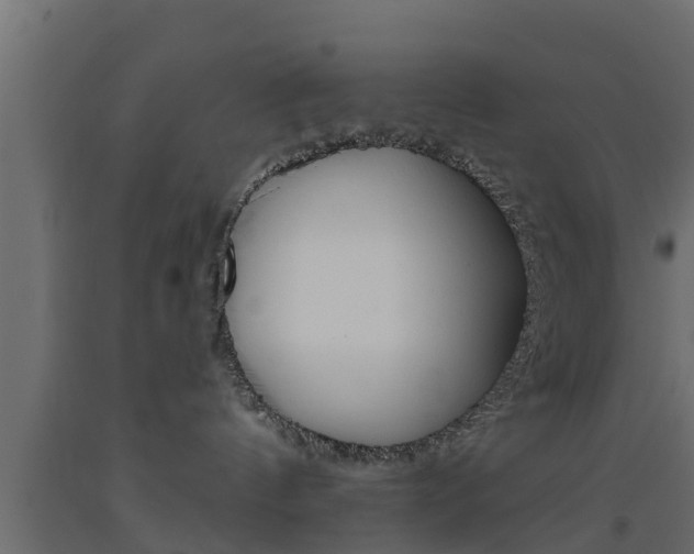 X0000093500144200710121051