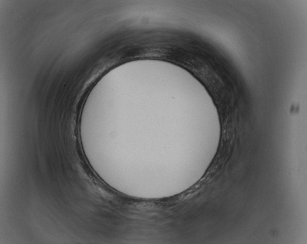 X0000093500146200710121050