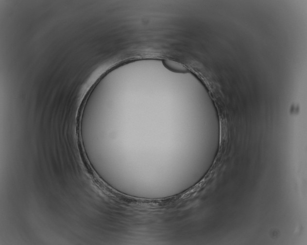 X0000093500147200710121050
