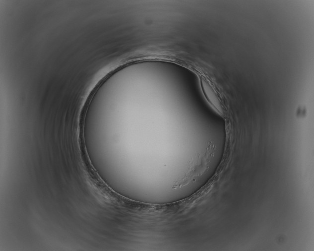 X0000093500148200710121050