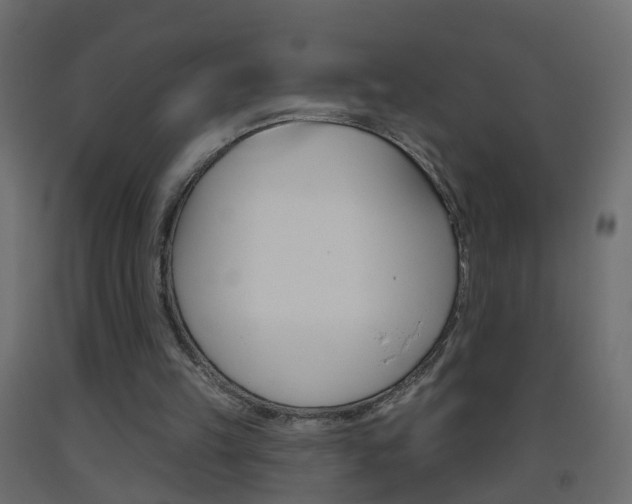 X0000093500149200710121050
