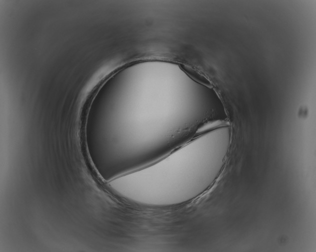 X0000093500150200710121050