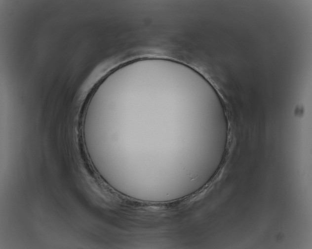 X0000093500151200710121050