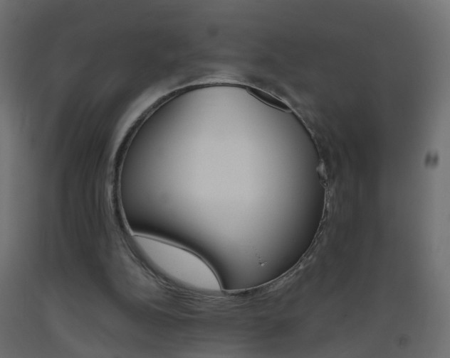X0000093500152200710121050