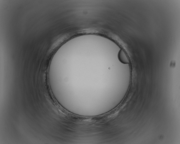 X0000093500153200710121050