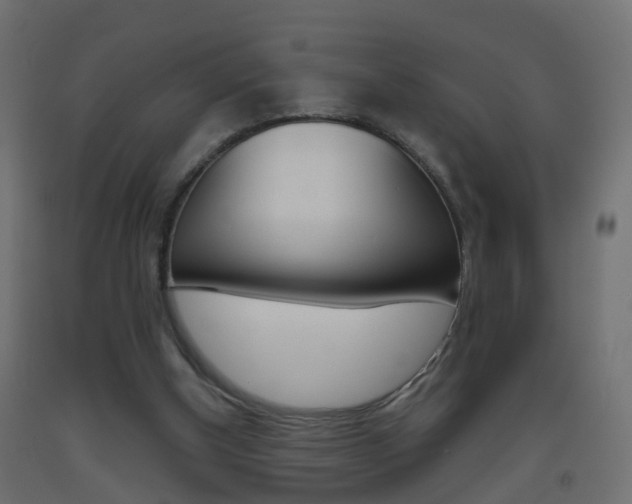 X0000093500154200710121050
