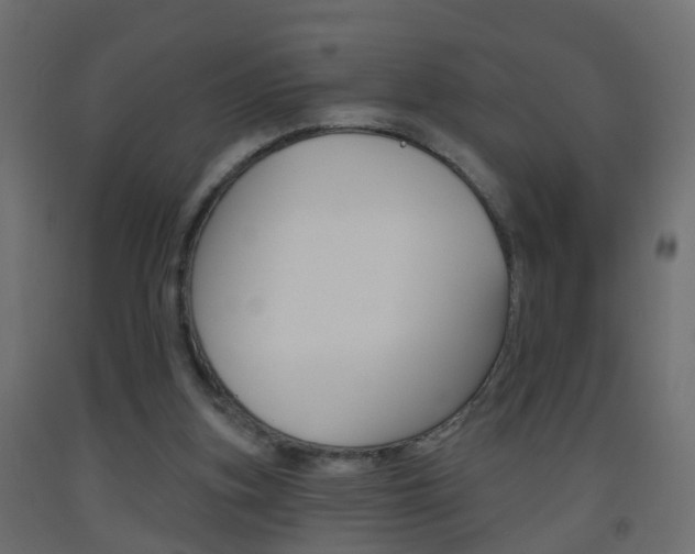 X0000093500155200710121050