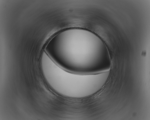 X0000093500156200710121050