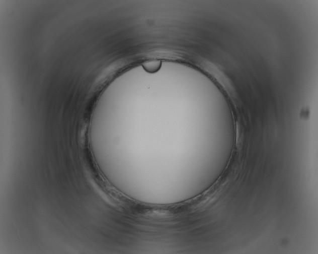 X0000093500157200710121050