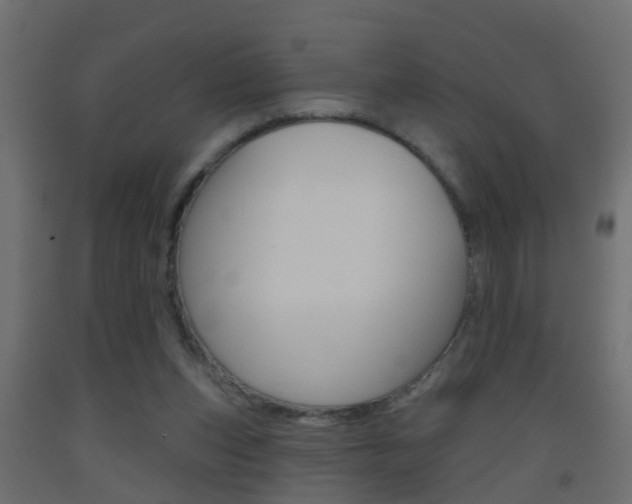 X0000093500159200710121050