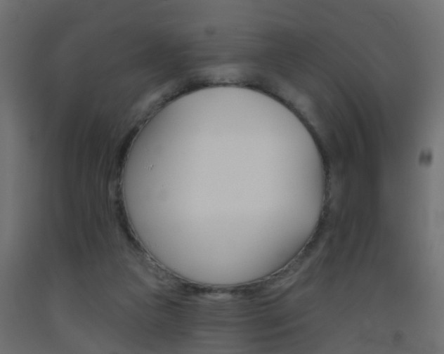 X0000093500161200710121050