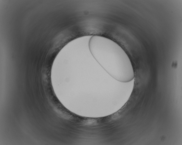 X0000093500162200710121050