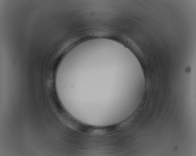 X0000093500163200710121050