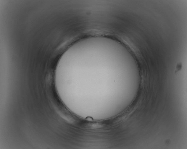 X0000093500165200710121050