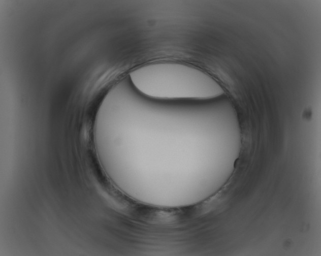 X0000093500166200710121050