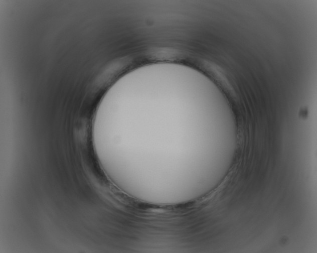 X0000093500167200710121050