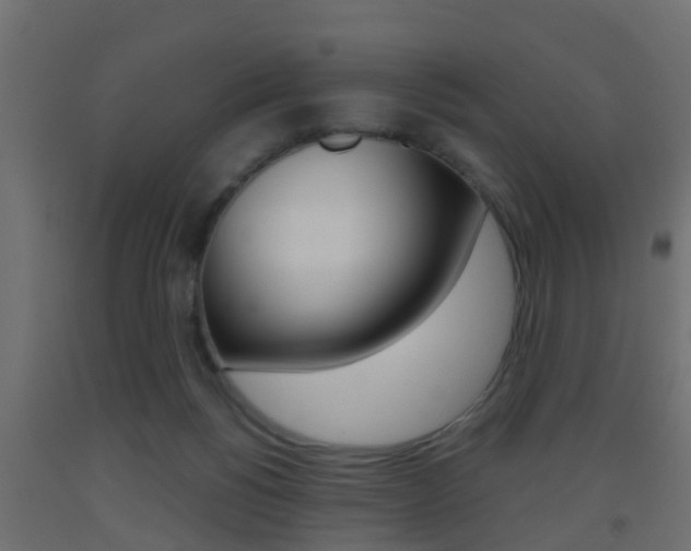 X0000093500168200710121050