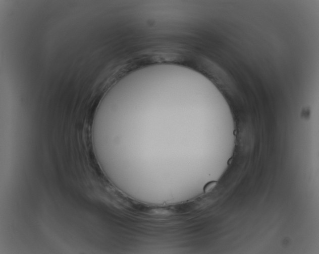 X0000093500169200710121050