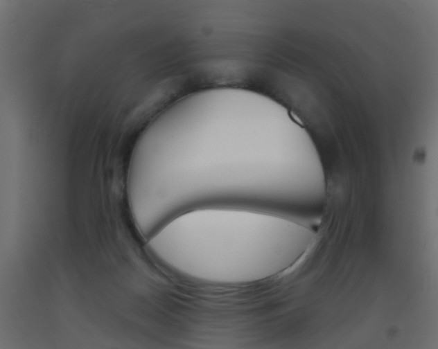 X0000093500170200710121050