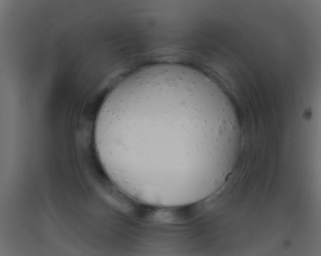 X0000093500171200710121050