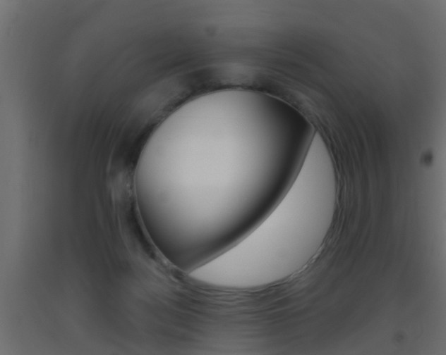 X0000093500172200710121050