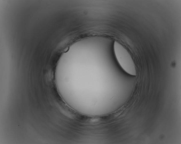 X0000093500173200710121050