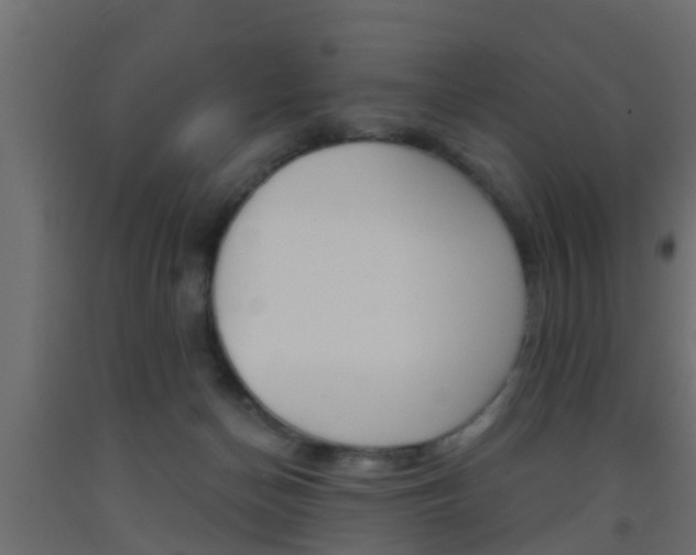 X0000093500174200710121050