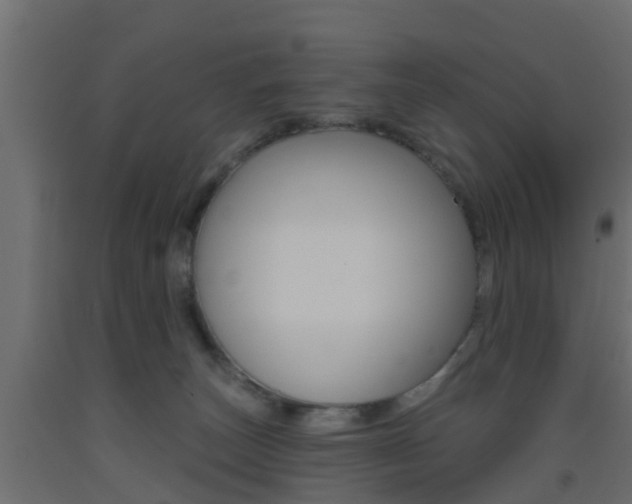 X0000093500179200710121050