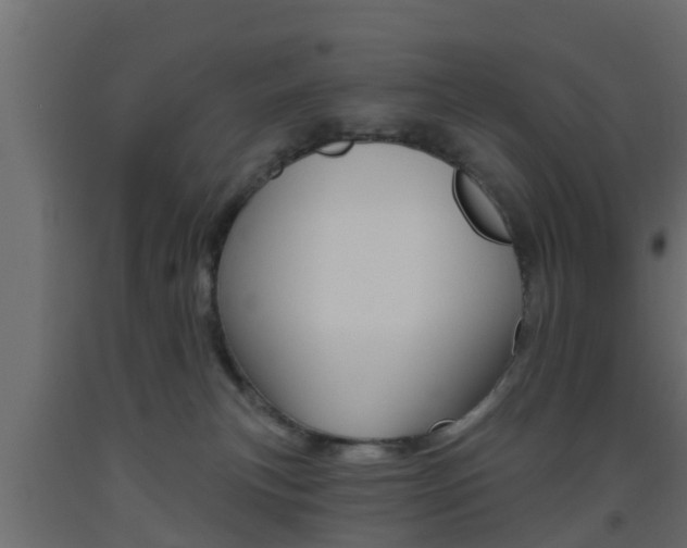 X0000093500183200710121050