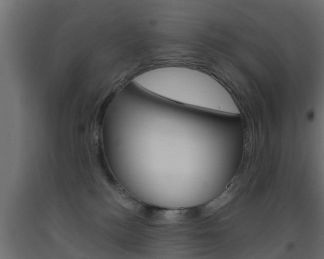 X0000093500184200710121050