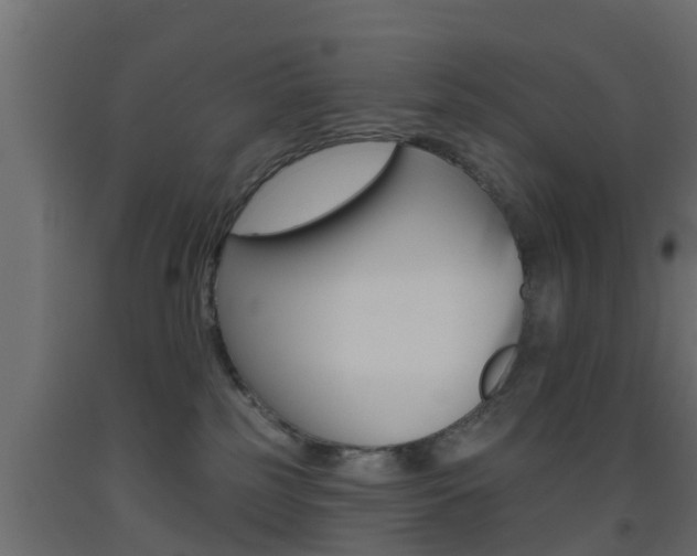 X0000093500185200710121050