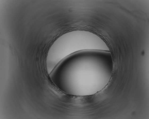 X0000093500186200710121051